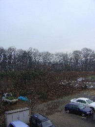 b0076384_2152721.jpg