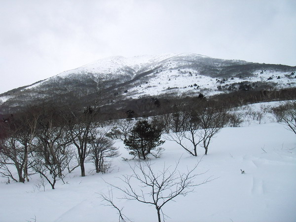 a0043193_18203015.jpg