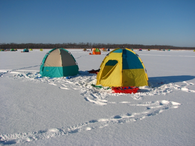 f0020302_20374663.jpg