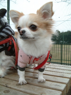 a0079803_19111642.jpg