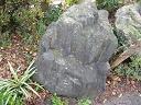 f0077807_212122.jpg