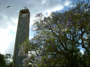 e0017708_241379.jpg