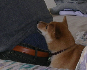 f0004309_2123429.jpg
