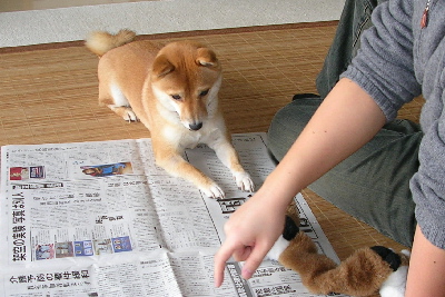 f0004309_21245688.jpg
