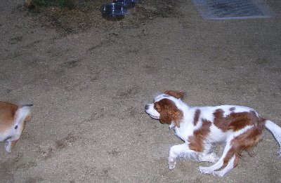 f0004309_21315718.jpg
