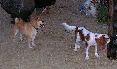 f0004309_2139157.jpg