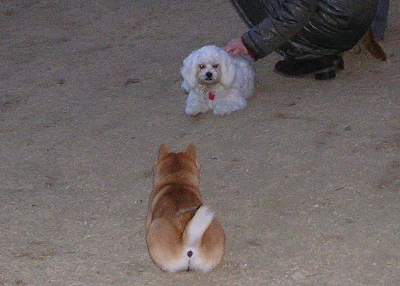 f0004309_2139485.jpg