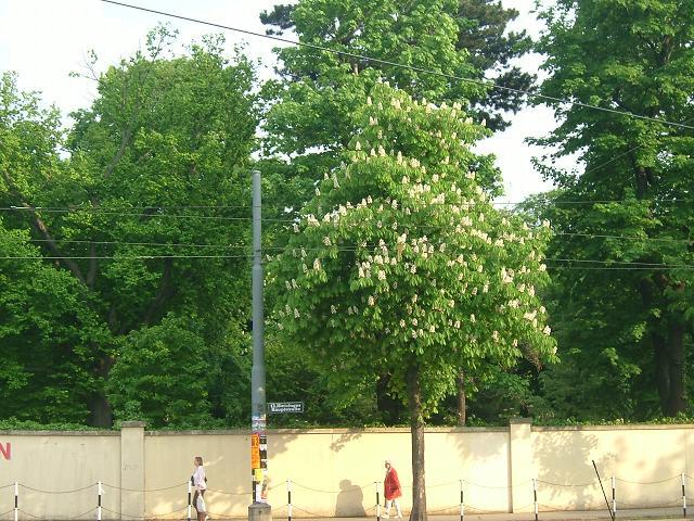 f0052011_9142387.jpg