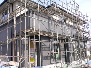 f0054411_052949.jpg