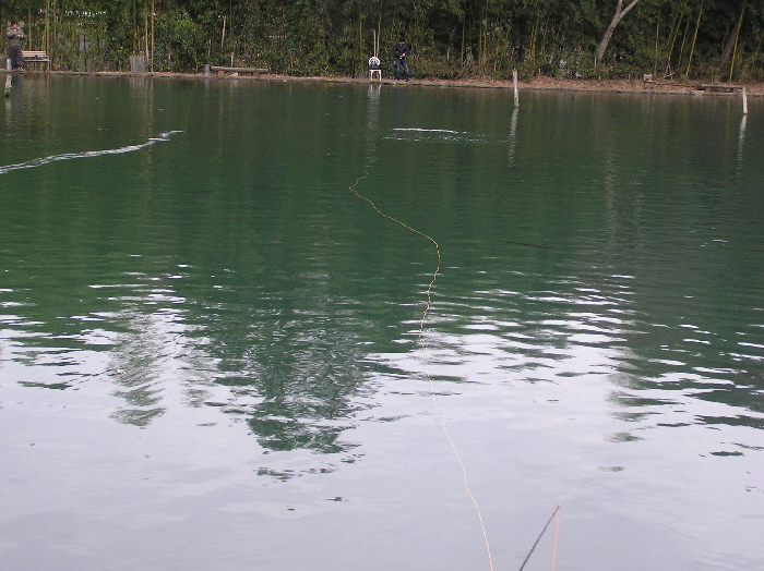 f0103126_1650514.jpg