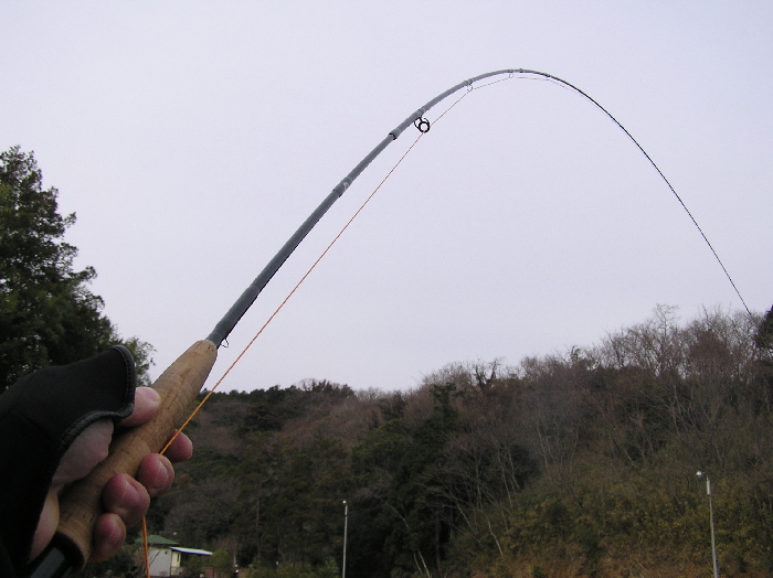 f0103126_16511147.jpg