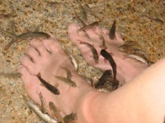 b0080027_15501887.jpg