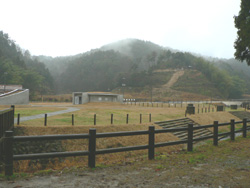 b0090333_15105097.jpg