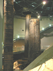b0090333_1511785.jpg