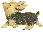 f0002833_23285121.gif