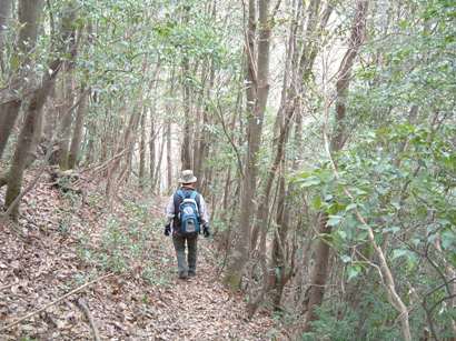 c0077338_2256164.jpg