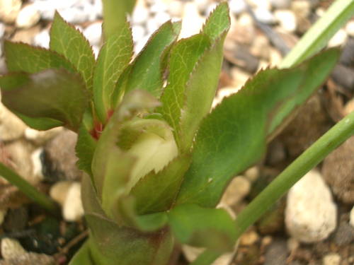 c0025140_23522694.jpg
