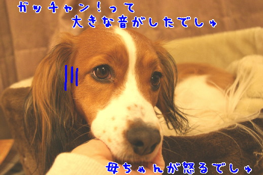 d0013149_0253726.jpg