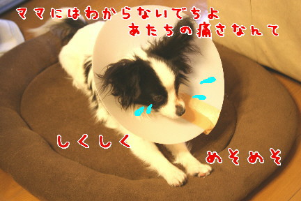 d0013149_0383972.jpg