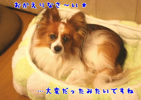 d0013149_11781.jpg