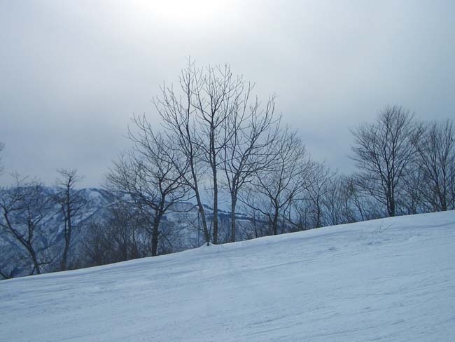 e0002850_2232951.jpg