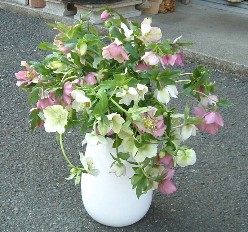 f0041850_16503167.jpg