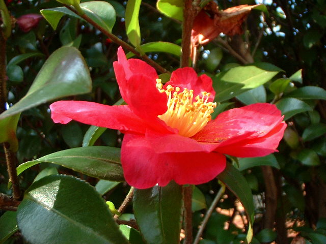 d0091754_1314636.jpg