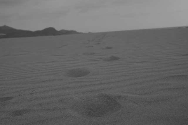 a0052156_0173937.jpg