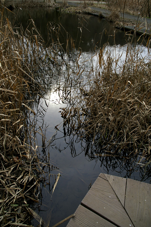d0100156_1958013.jpg