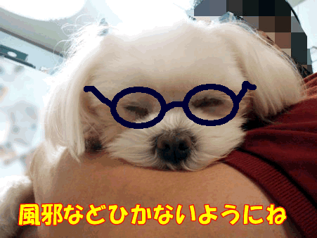 b0060071_0492849.gif