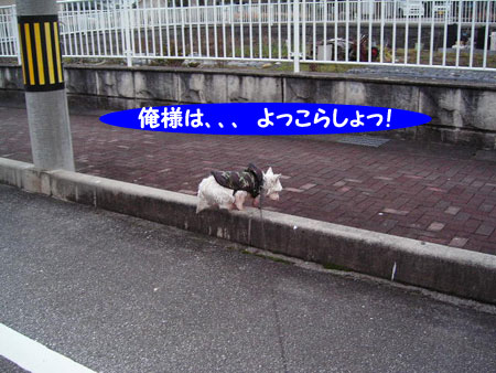 e0066883_18101635.jpg