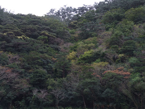 e0028387_23554877.jpg