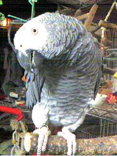 c0076490_21253850.jpg