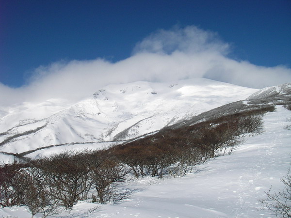 a0043193_19103031.jpg