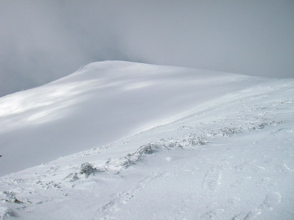 a0043193_19104326.jpg