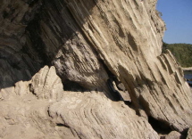 c0008598_19352365.jpg