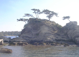 c0008598_19362454.jpg