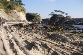 c0008598_19371898.jpg