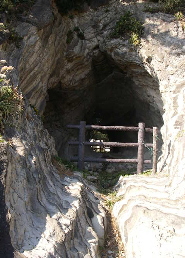 c0008598_19414825.jpg