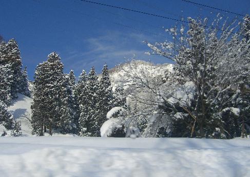 e0077899_4184534.jpg
