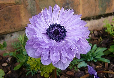 f0065604_0424250.jpg