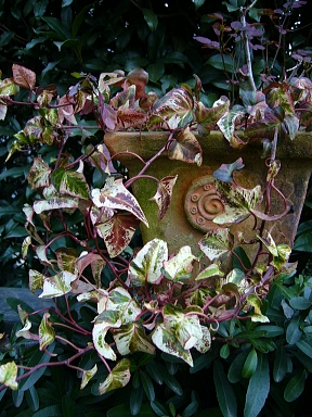 f0065604_042542.jpg
