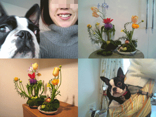 e0080117_0192367.gif