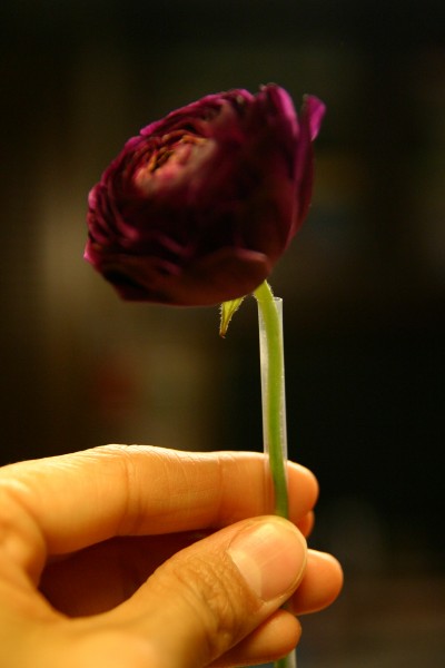 c0037519_21345844.jpg