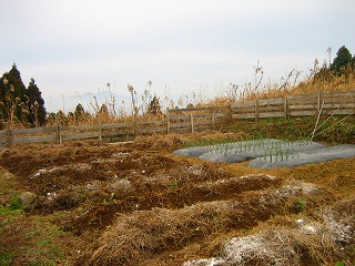 e0103719_9273639.jpg