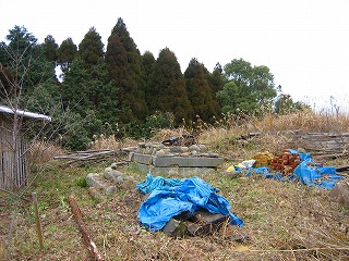 e0103719_927582.jpg