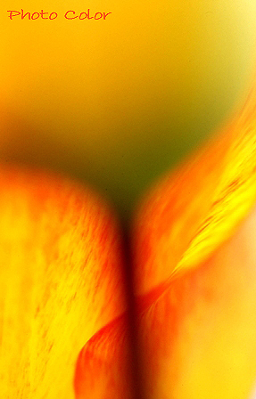 f0078127_7513716.jpg