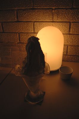 e0064128_236574.jpg