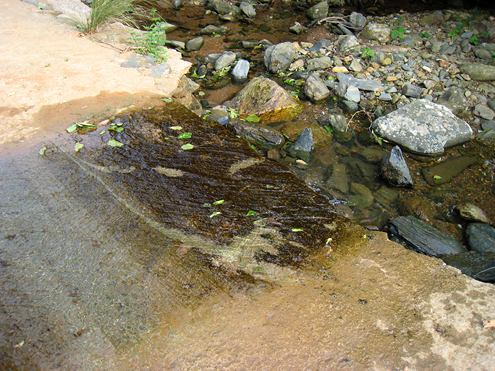 c0014035_23594630.jpg