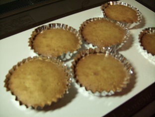 e0101035_8594891.jpg
